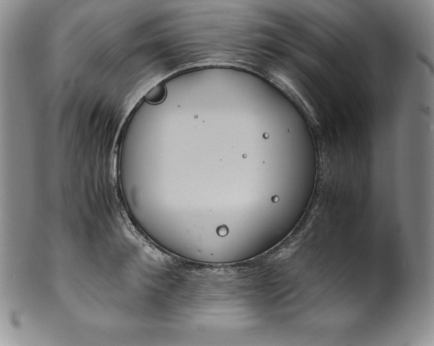 X0000100490900200806271234