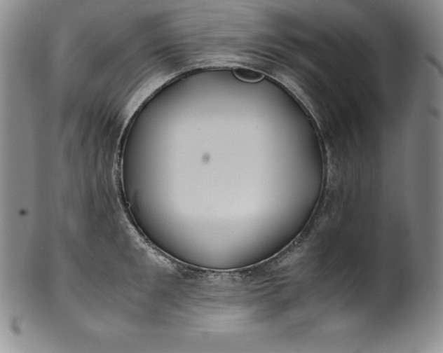 X0000100490901200806271234