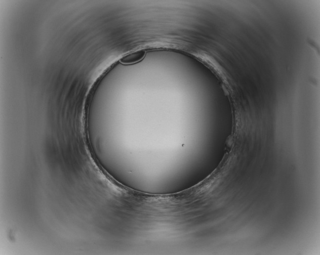 X0000100490902200806271234