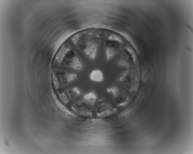 X0000100490903200806271234