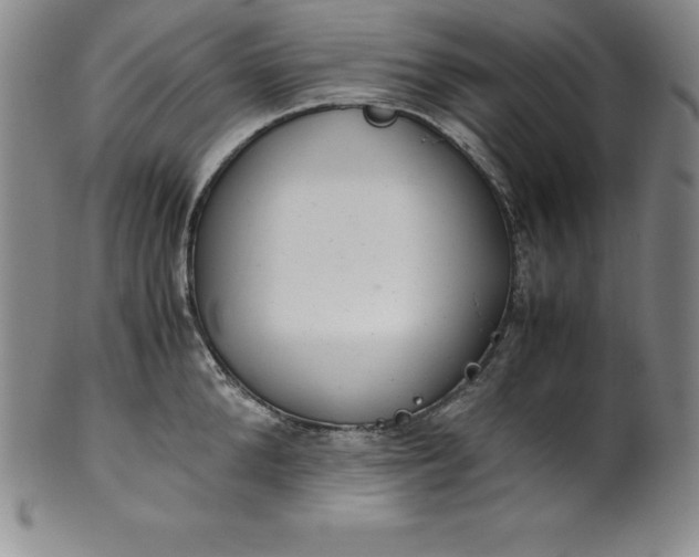 X0000100490904200806271234