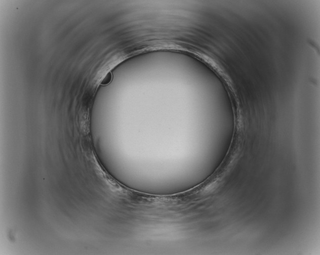 X0000100490905200806271234