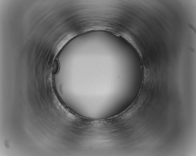 X0000100490906200806271234