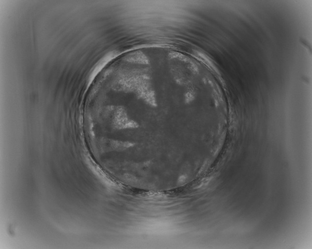 X0000100490907200806271234