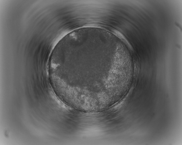 X0000100490908200806271234