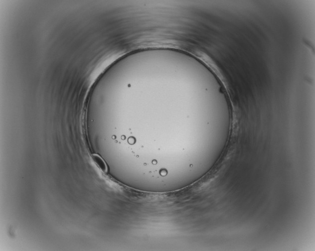 X0000100490909200806271234