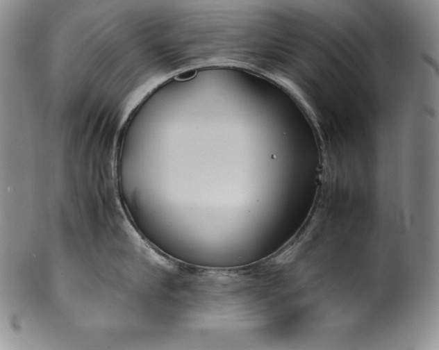 X0000100490910200806271234