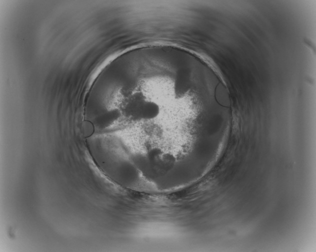 X0000100490911200806271234