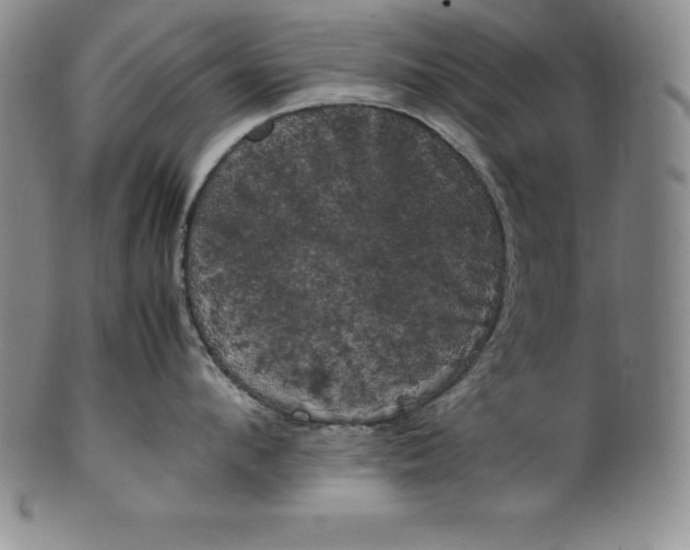 X0000100490912200806271234