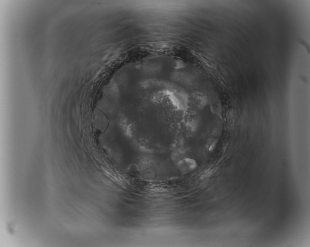 X0000100490913200806271233