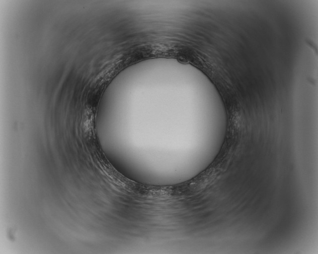 X0000100490914200806271233