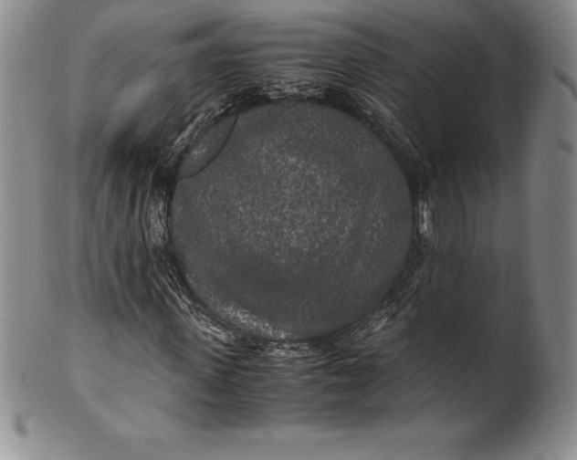 X0000100490915200806271233