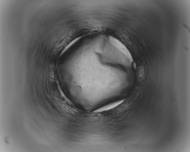 X0000100490916200806271233