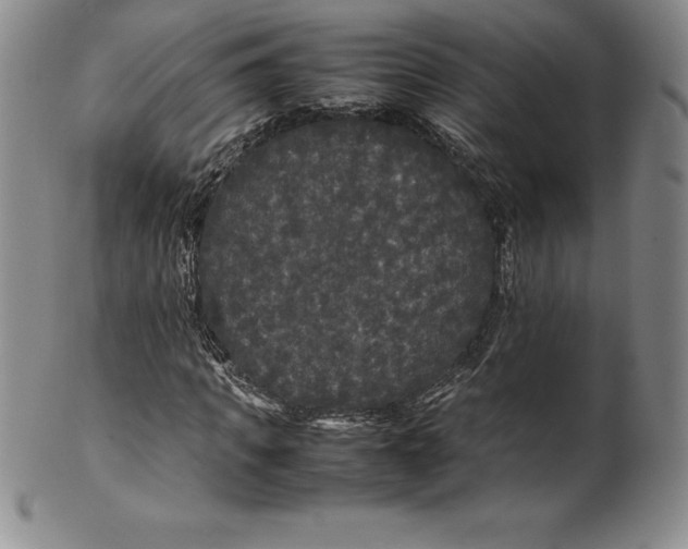 X0000100490917200806271233