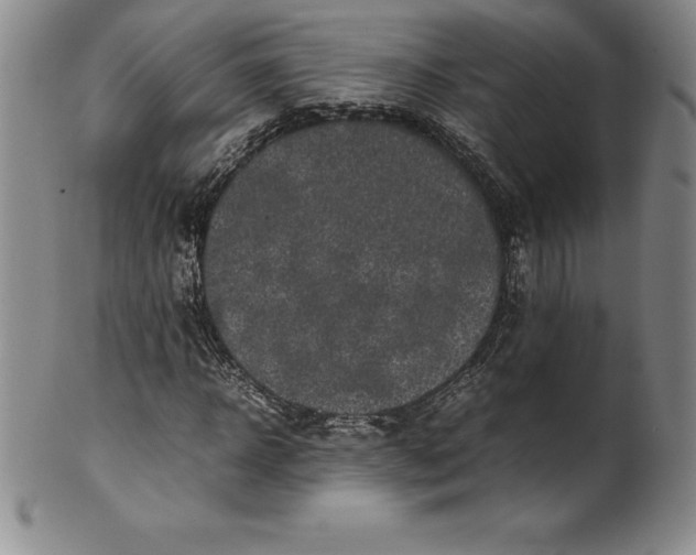 X0000100490918200806271233