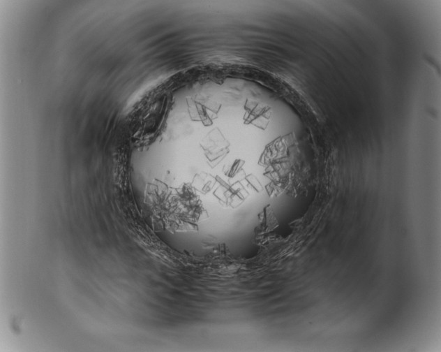 X0000100490919200806271233