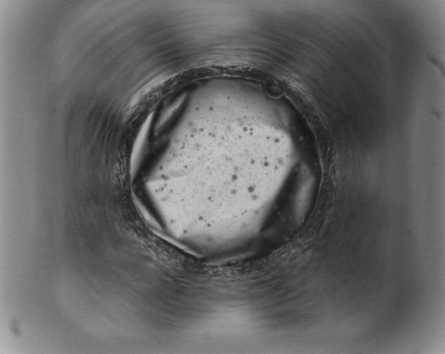 X0000100490920200806271233