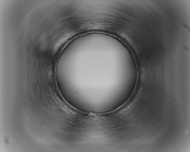 X0000100490922200806271233