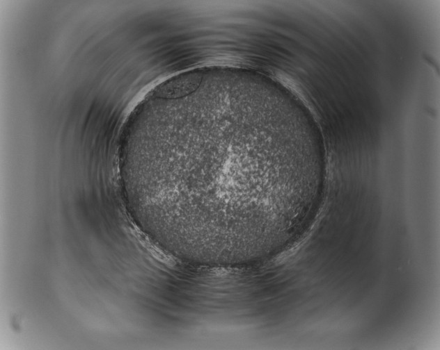 X0000100490923200806271233