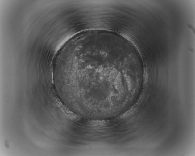 X0000100490925200806271233