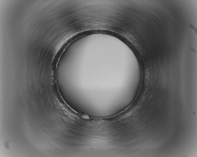 X0000100490926200806271233