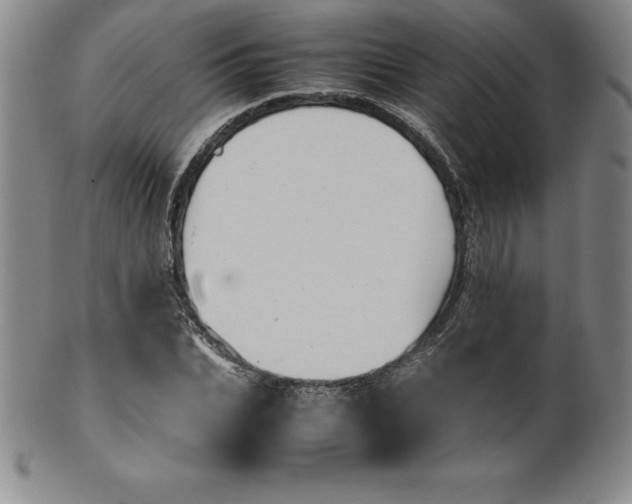 X0000100490927200806271233