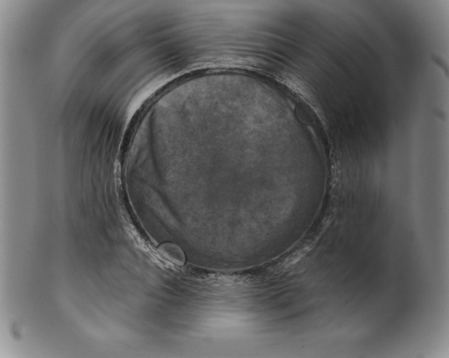 X0000100490928200806271233