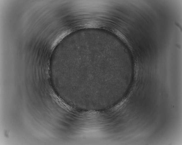 X0000100490930200806271233