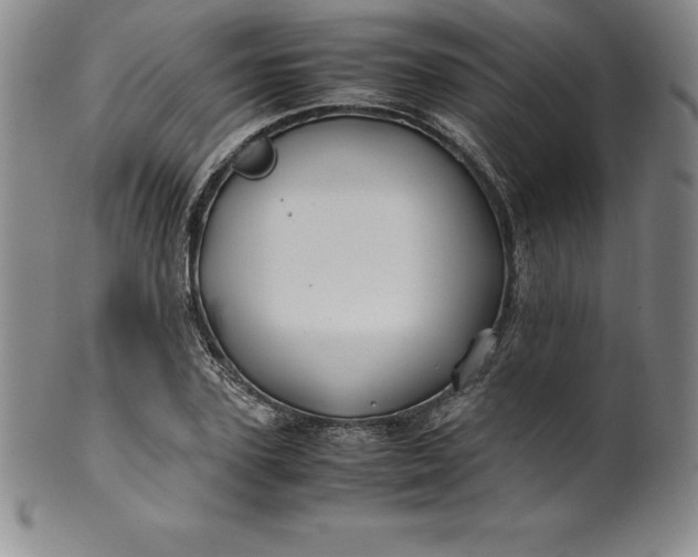 X0000100490931200806271233