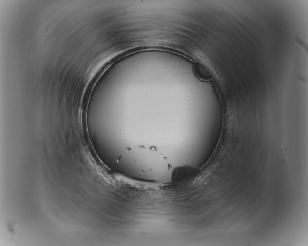 X0000100490932200806271233