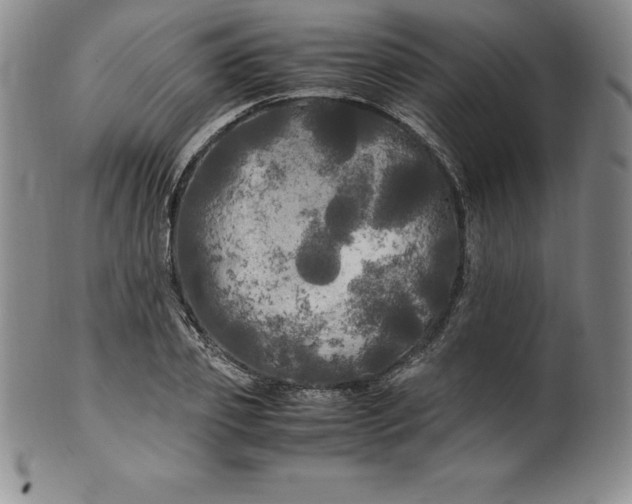 X0000100490933200806271233