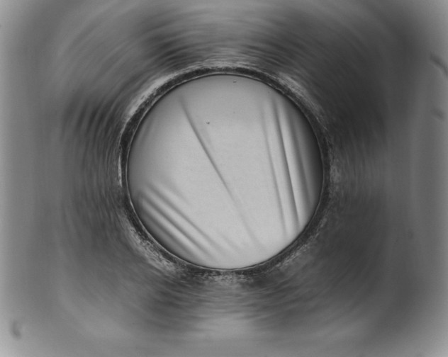 X0000100490934200806271233