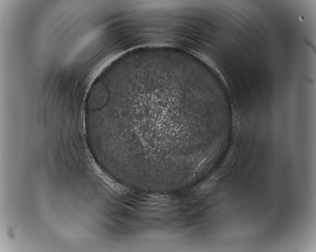 X0000100490935200806271233