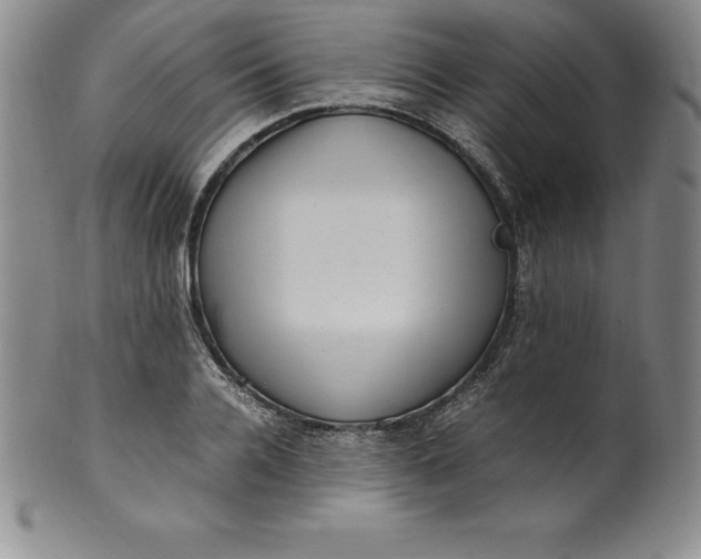 X0000100490936200806271233