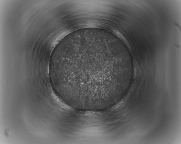 X0000100490938200806271233