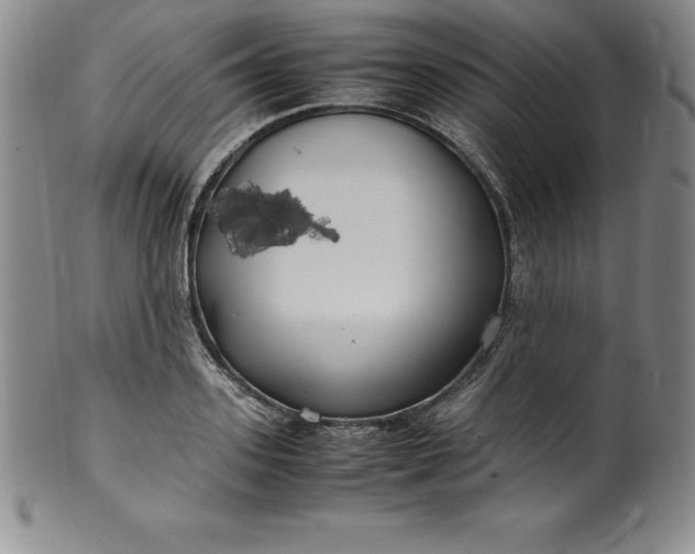 X0000100490939200806271233