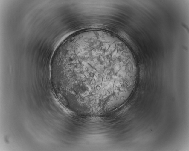 X0000100490940200806271233