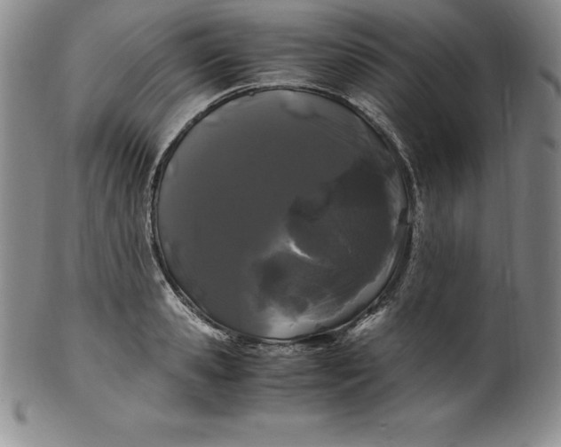 X0000100490941200806271233