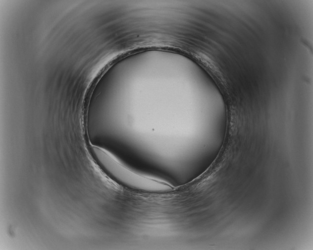 X0000100490942200806271233