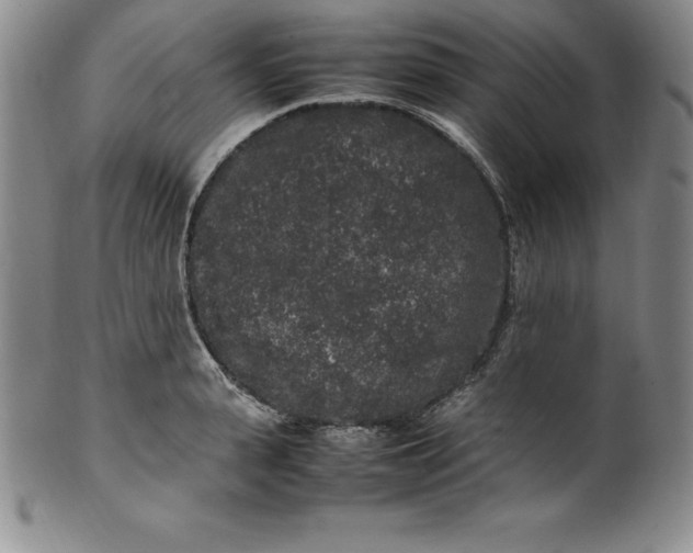 X0000100490943200806271233