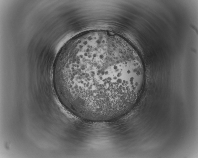 X0000100490944200806271233