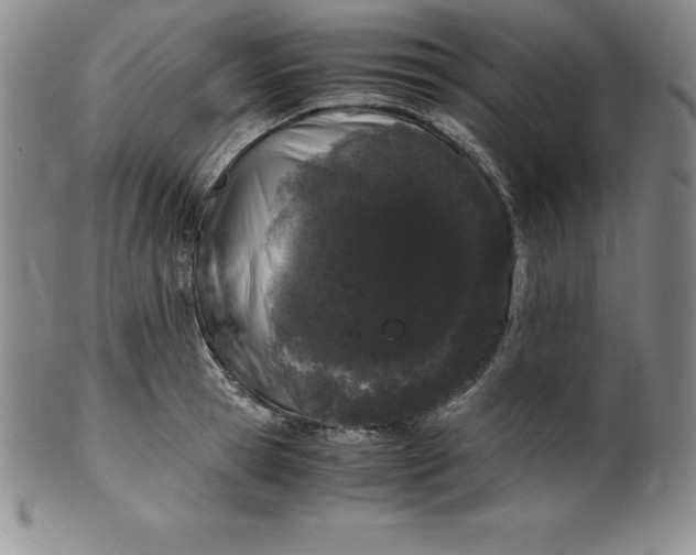 X0000100490945200806271233