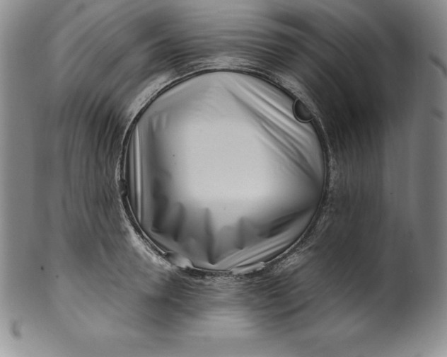 X0000100490946200806271233