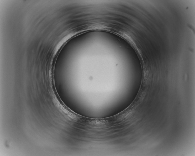 X0000100490947200806271233