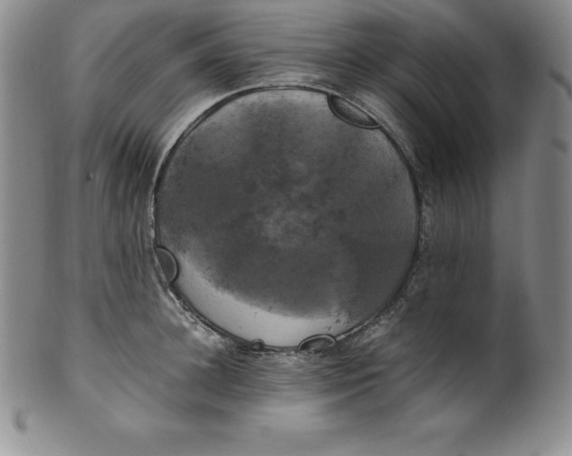 X0000100490948200806271233