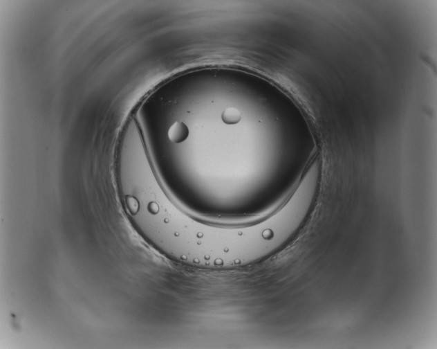 X0000100490950200806271233