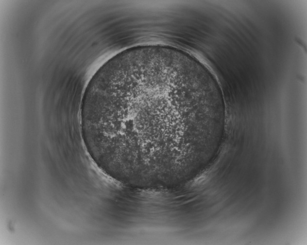 X0000100490951200806271234