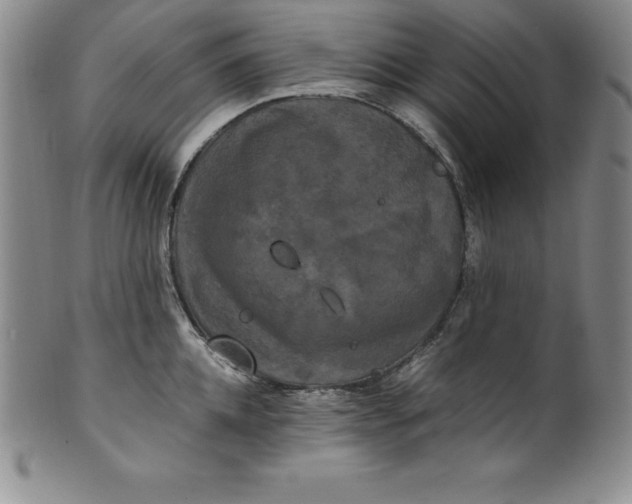 X0000100490952200806271234