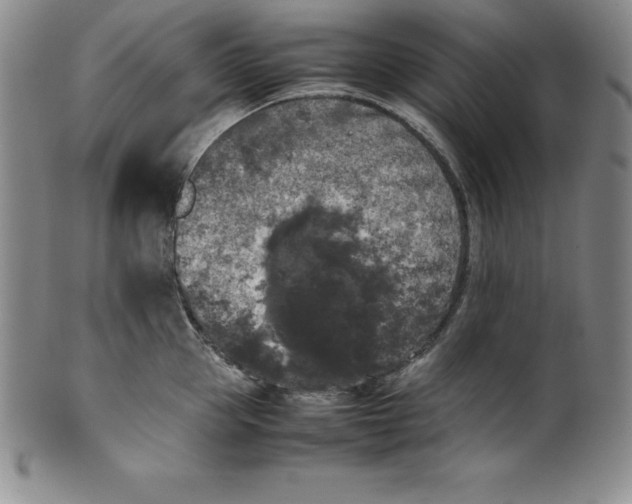 X0000100490953200806271234