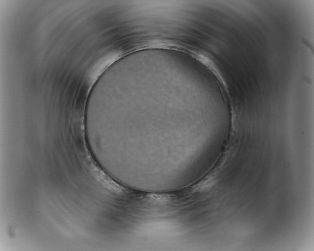 X0000100490954200806271234